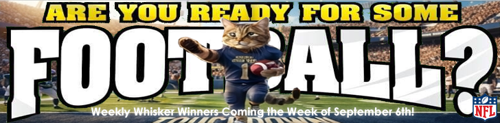 Banner Add