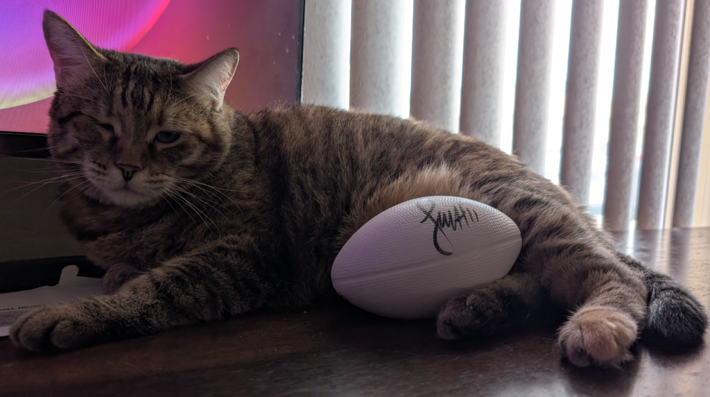 Psychic Meow Meow with her Larry Fitzgerald football